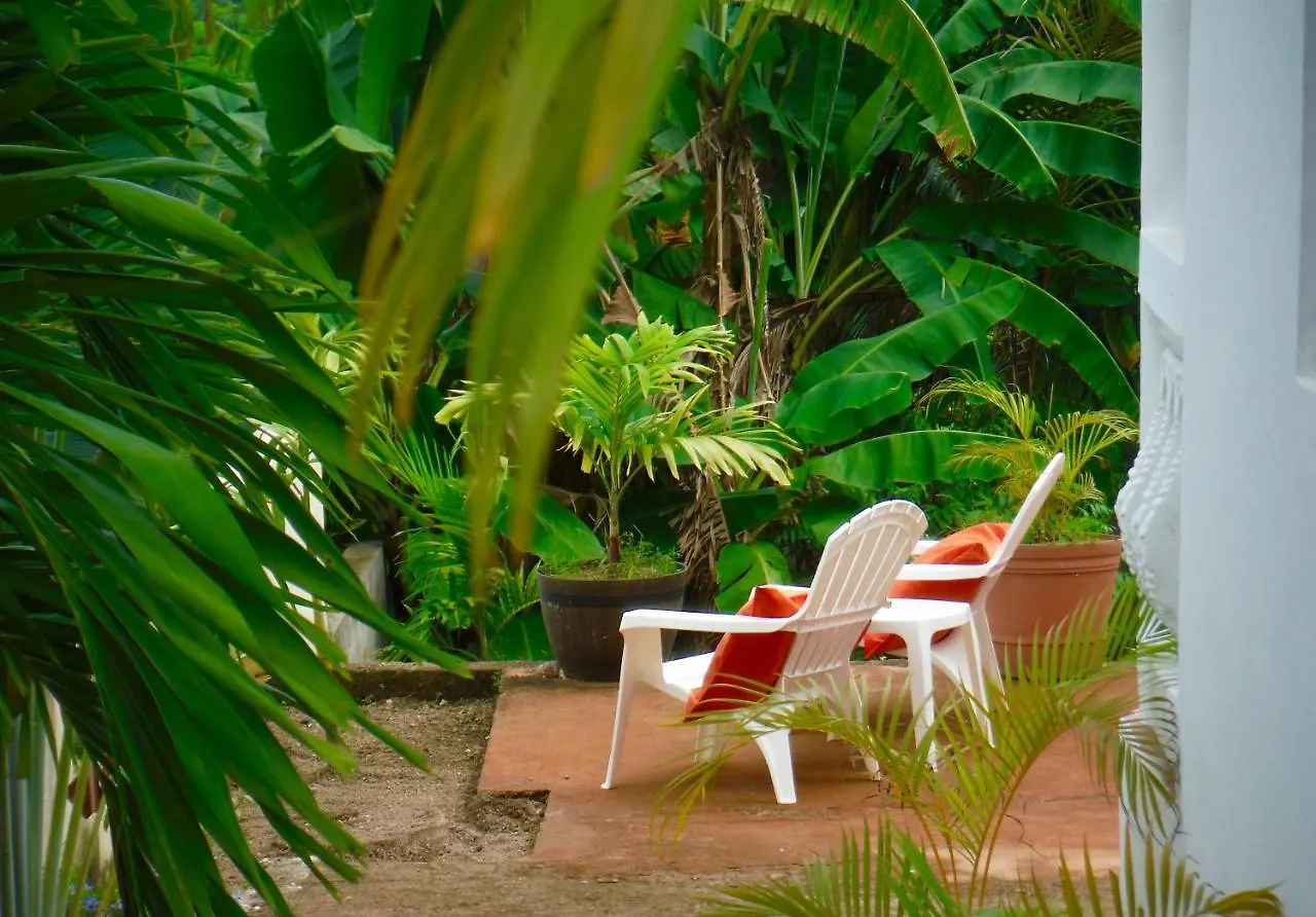 Annie'S White House On The Hill Apartment Negril